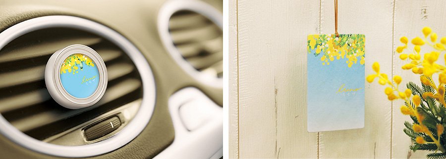 car&room_mimosa.jpg